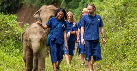 wildlife volunteer opportunities abroad.